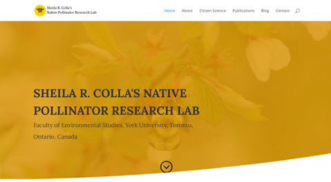 Sheil R. Colla's Native Pollinator Research Lab Website